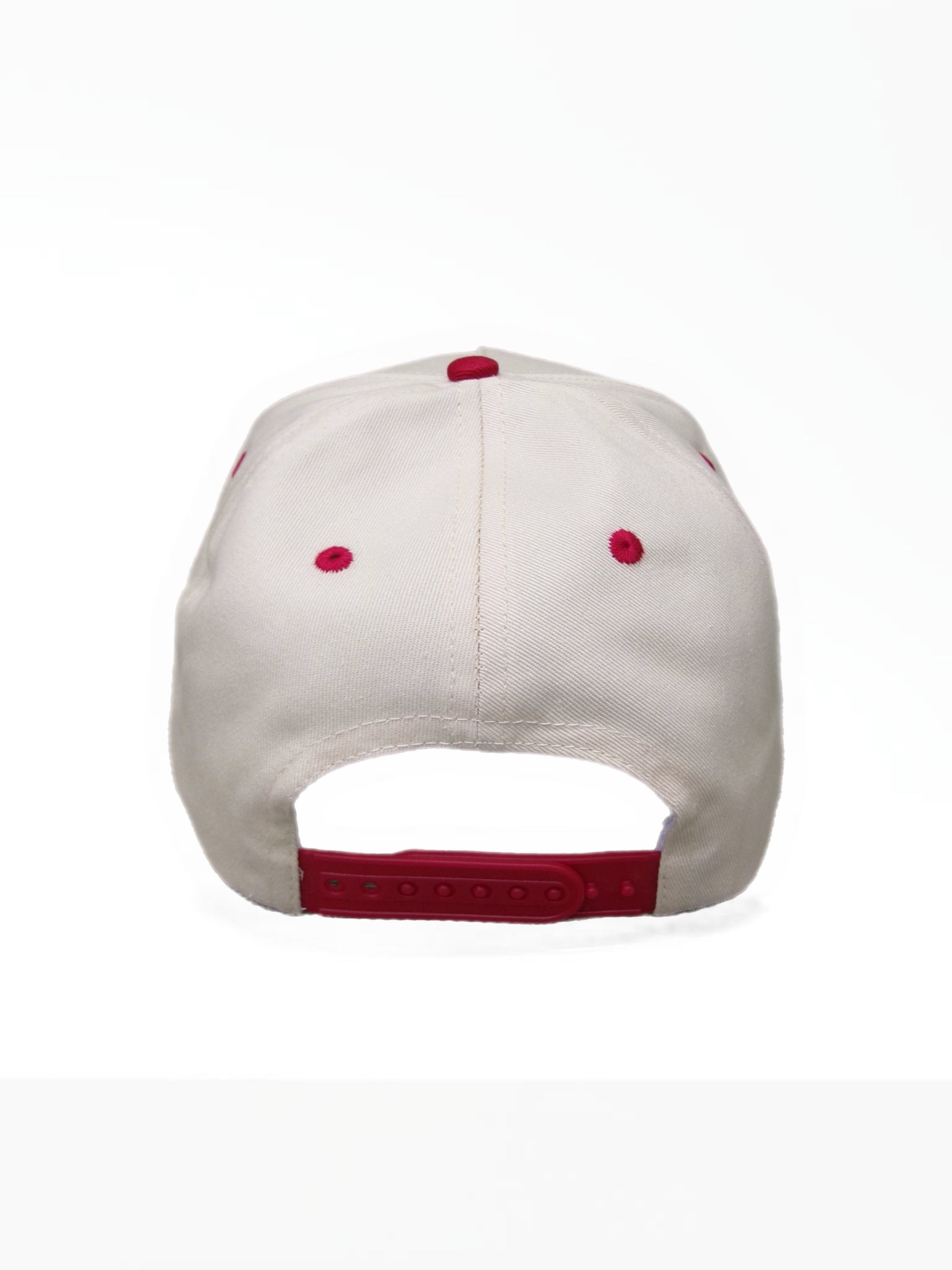 Red & Tan image 3